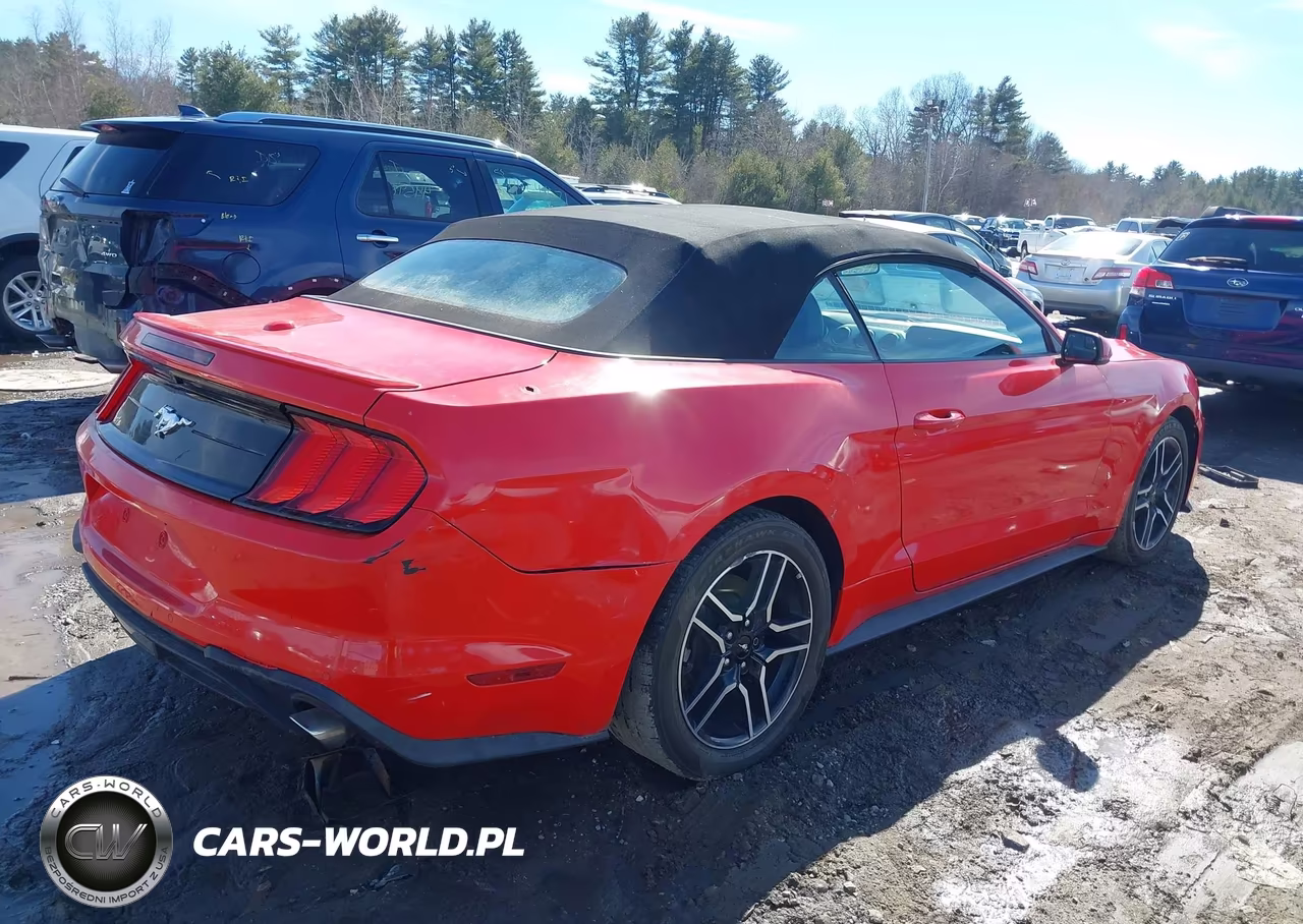 2020 Ford Mustang Ecoboost Premium VIN:1FATP8UH2L5119673 - 4