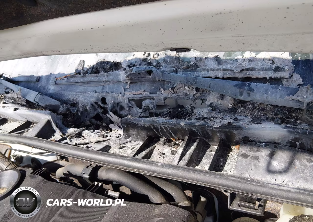 2020 Toyota 4Runner Trd Off Road Premium VIN:JTEBU5JR4L5813822 - 15