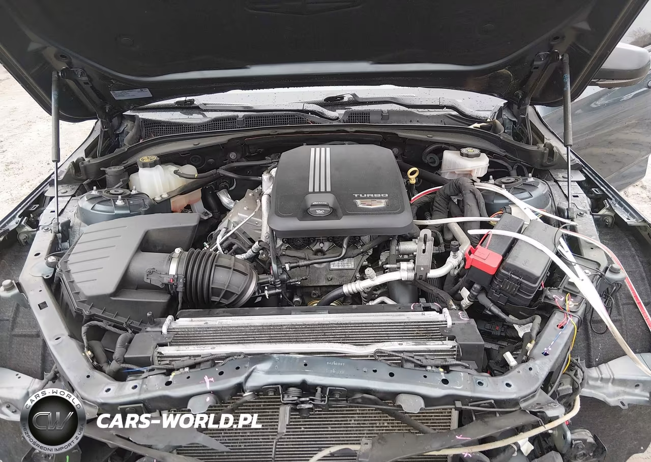 2021 Cadillac Ct4 Luxury VIN:1G6DK5RKXM0144953 - 10
