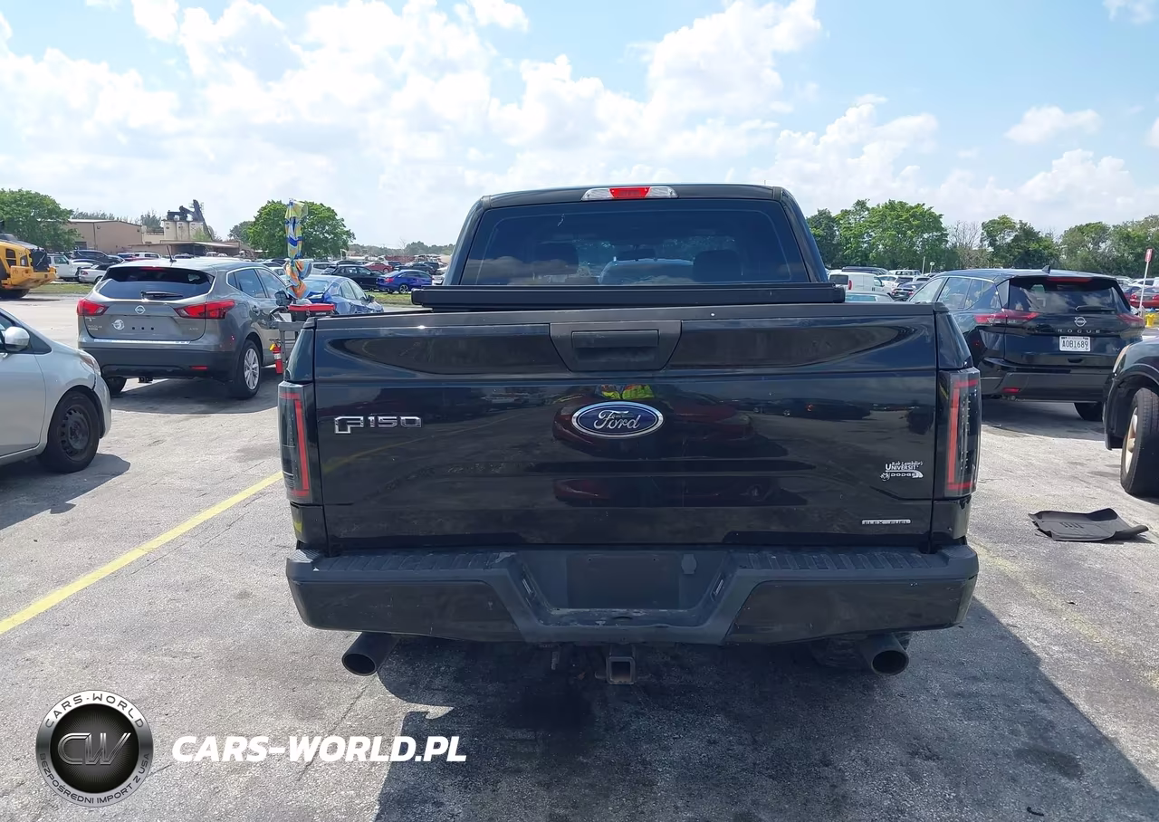 2015 Ford F-150 Xl VIN:1FTEW1C86FFC86356 - 16