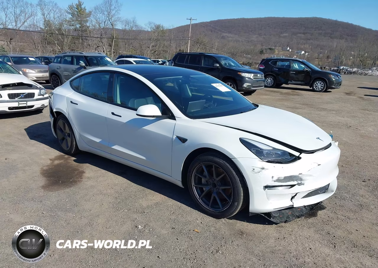 2023 Tesla Model 3 Rear-Wheel Drive