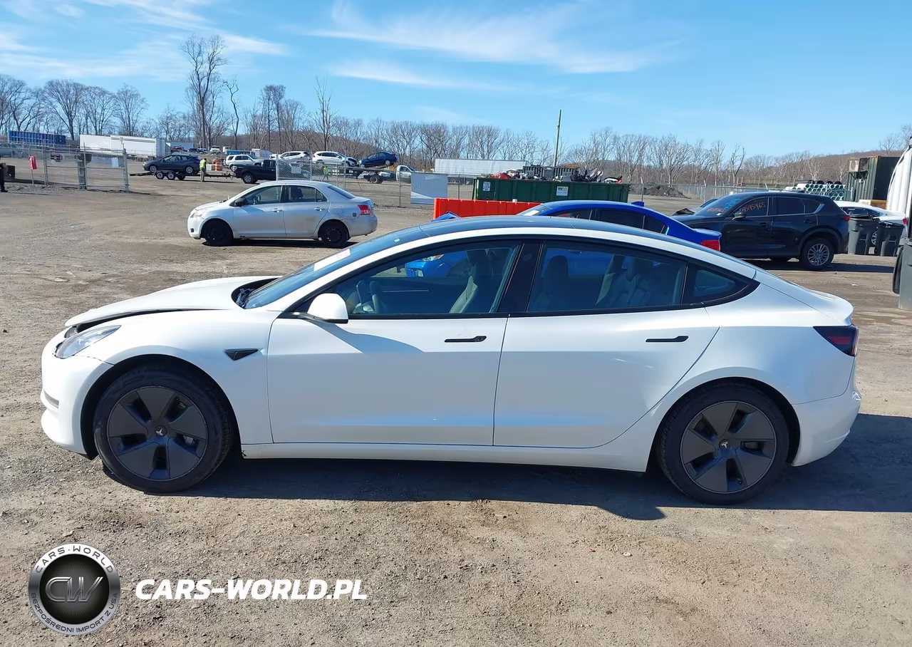 2023 Tesla Model 3 Rear-Wheel Drive VIN:5YJ3E1EA7PF659601 - 14