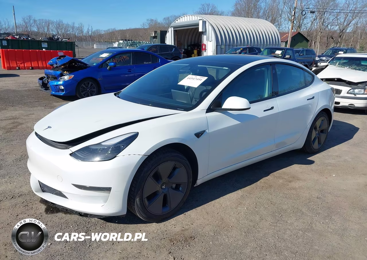 2023 Tesla Model 3 Rear-Wheel Drive VIN:5YJ3E1EA7PF659601 - 2