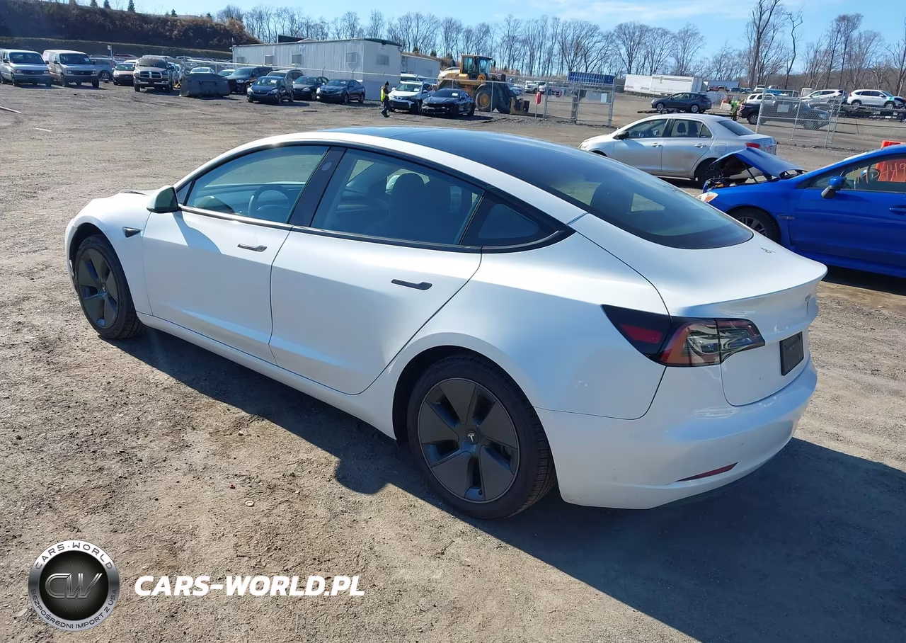 2023 Tesla Model 3 Rear-Wheel Drive VIN:5YJ3E1EA7PF659601 - 3