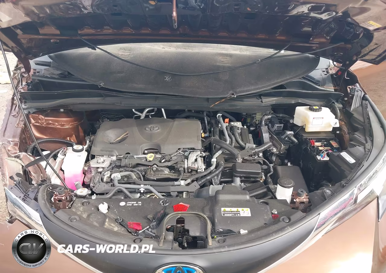 2021 Toyota Sienna Xle VIN:5TDYRKEC2MS064504 - 10