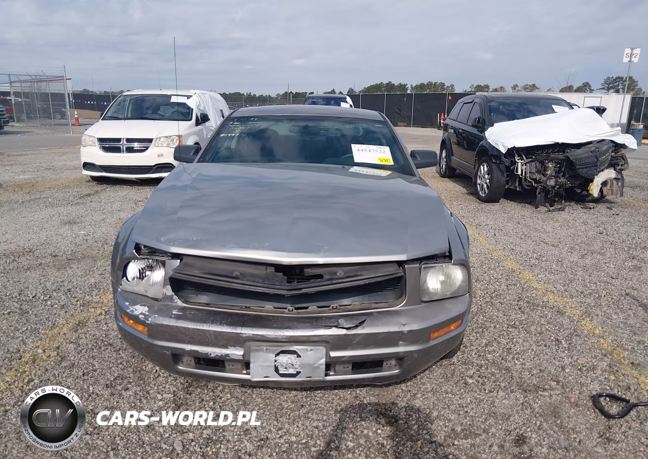 2008 Ford Mustang V6 Deluxe-V6 Premium VIN:1ZVHT80N585115418 - 12
