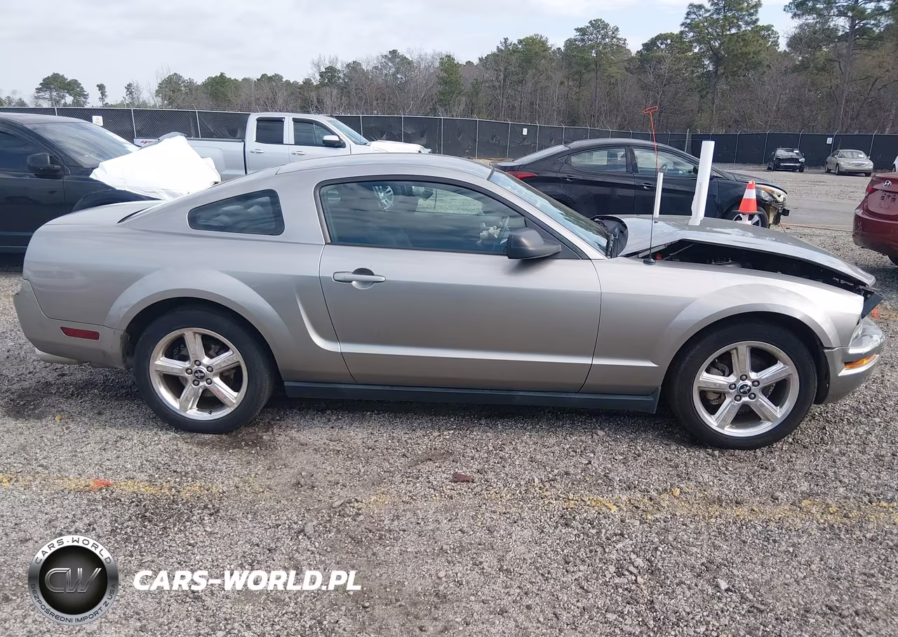2008 Ford Mustang V6 Deluxe-V6 Premium VIN:1ZVHT80N585115418 - 13