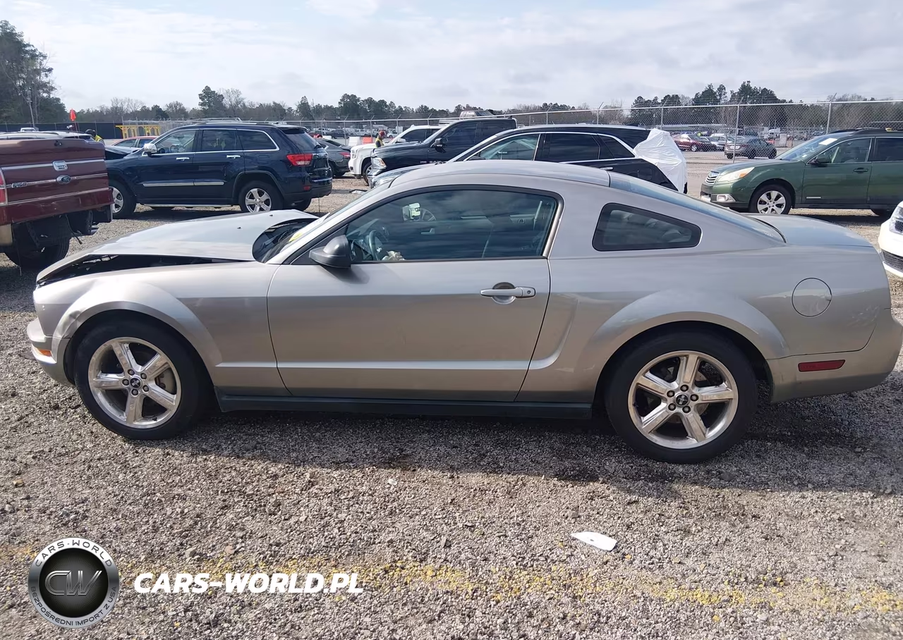 2008 Ford Mustang V6 Deluxe-V6 Premium VIN:1ZVHT80N585115418 - 14