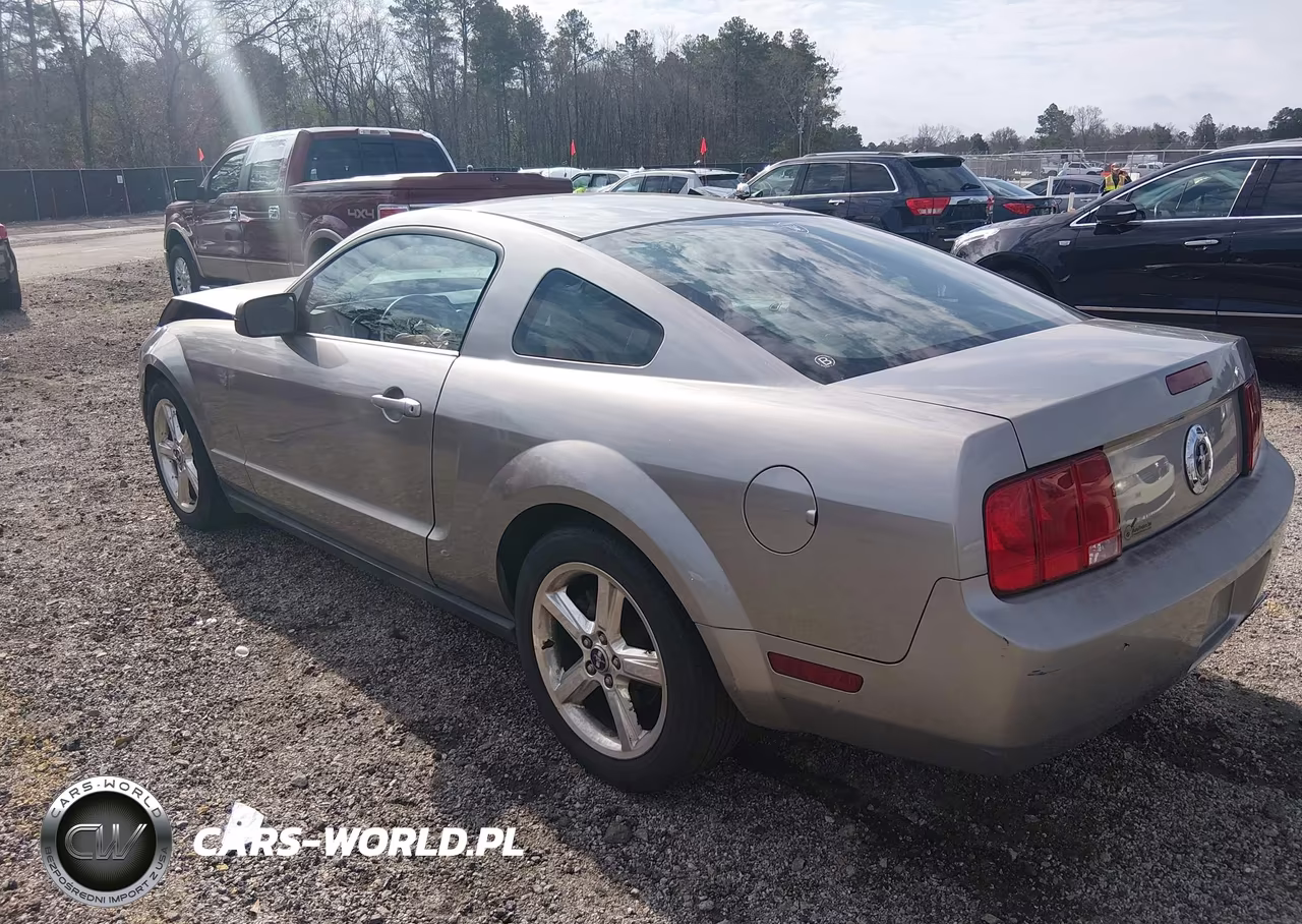 2008 Ford Mustang V6 Deluxe-V6 Premium VIN:1ZVHT80N585115418 - 3