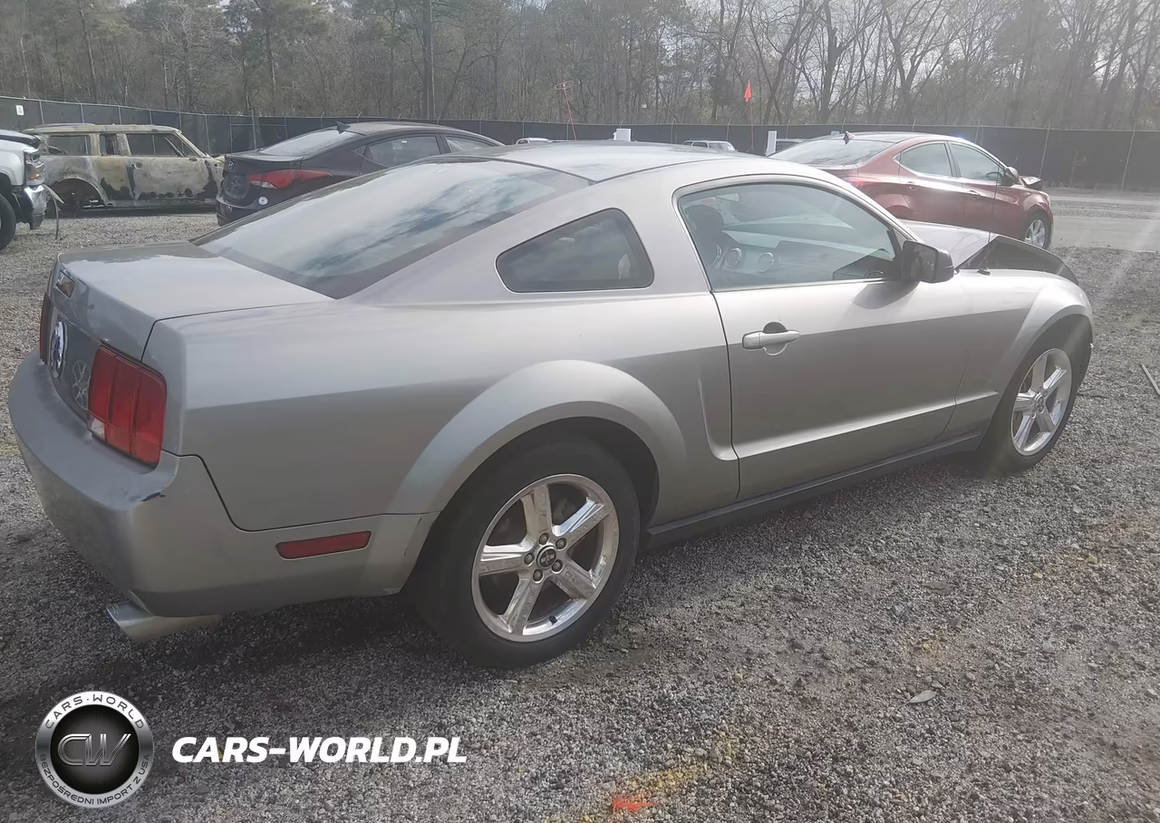 2008 Ford Mustang V6 Deluxe-V6 Premium VIN:1ZVHT80N585115418 - 4