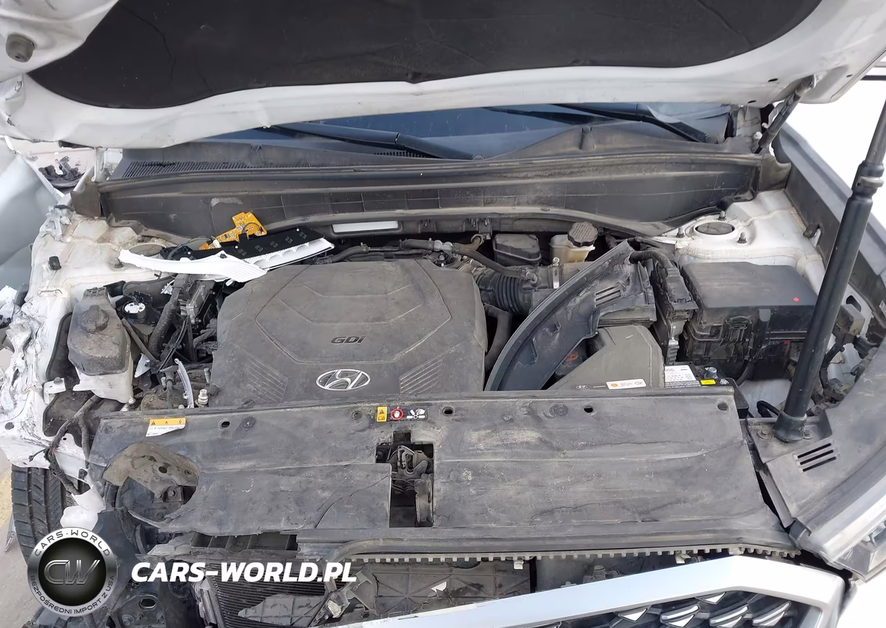 2021 Hyundai Palisade Calligraphy VIN:KM8R74HE2MU268570 - 10