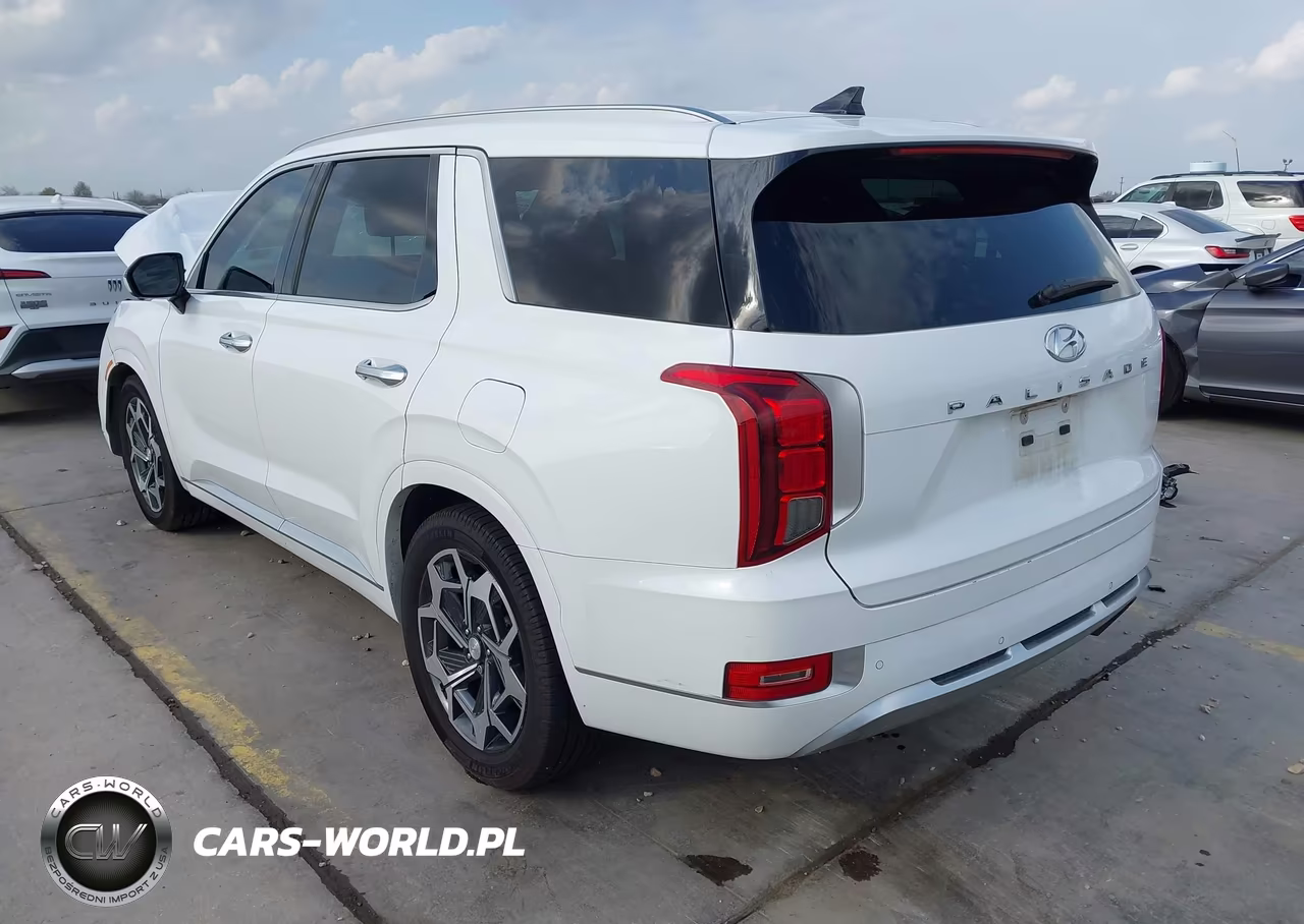 2021 Hyundai Palisade Calligraphy VIN:KM8R74HE2MU268570 - 3