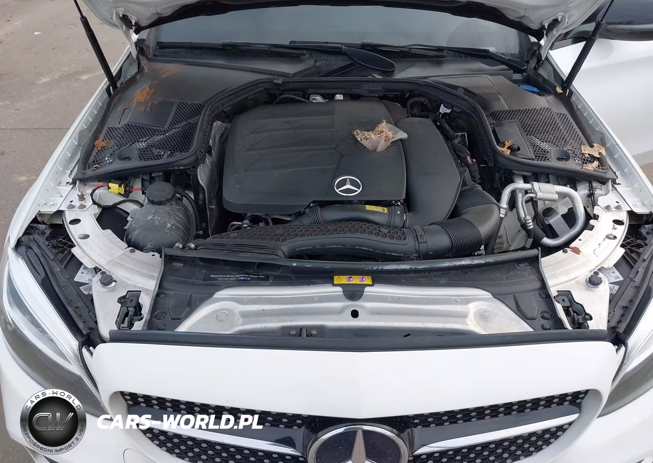2019 Mercedes-Benz C 300 4Matic VIN:55SWF8EB3KU315587 - 10