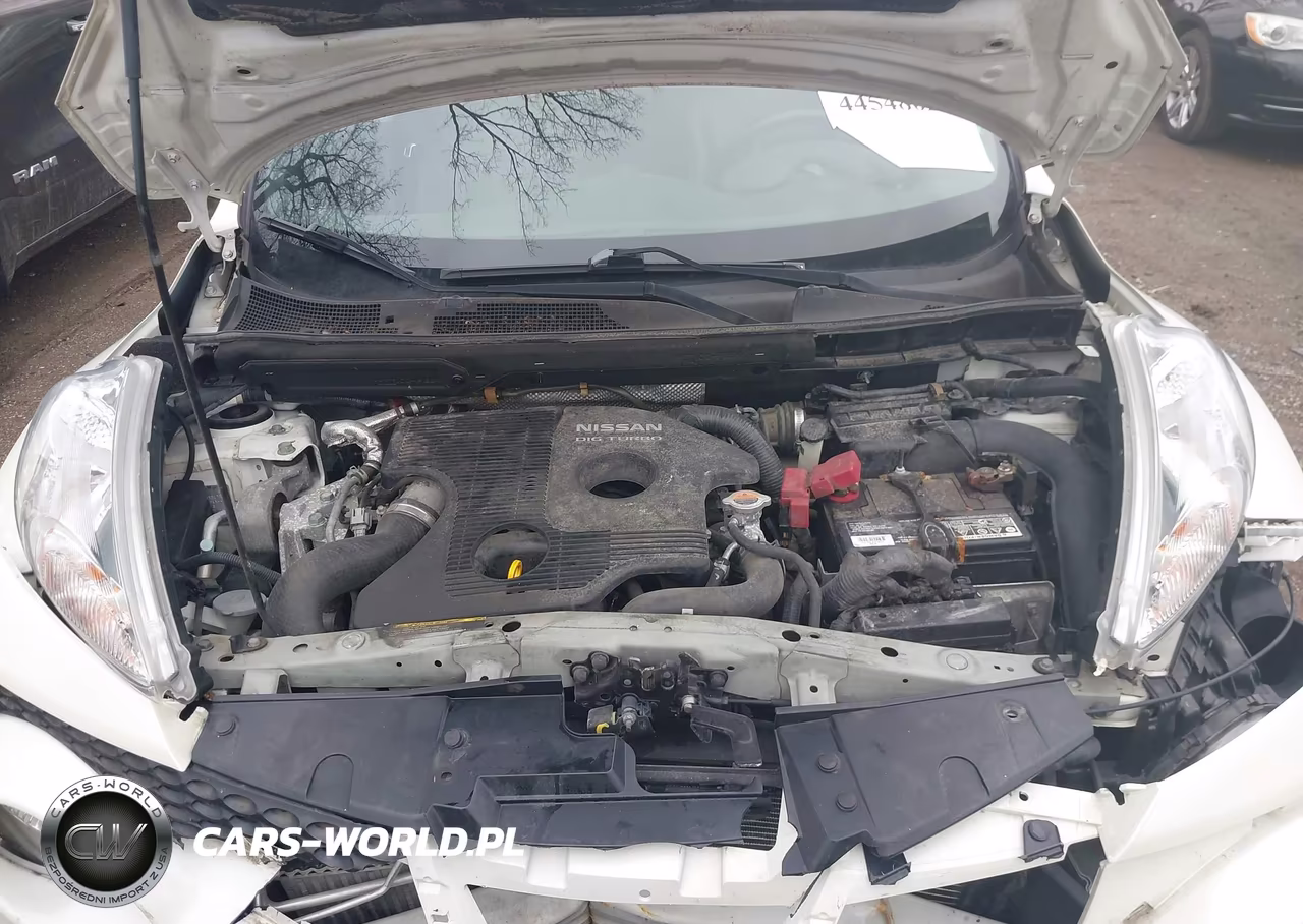 2013 Nissan Juke Sl VIN:JN8AF5MV1DT217832 - 10