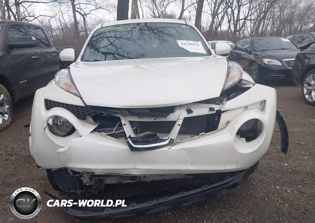 2013 Nissan Juke Sl VIN:JN8AF5MV1DT217832 - 12