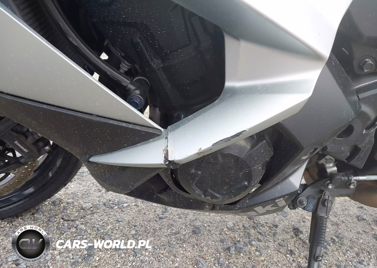 2018 Kawasaki Zx1000 W VIN:JKAZXCW14JA007799 - 9