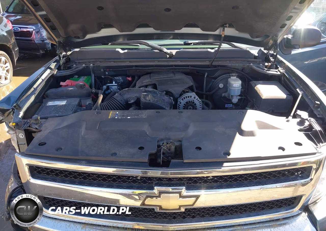 2009 Chevrolet Silverado 1500 Lt VIN:1GCEK24J39Z134119 - 10