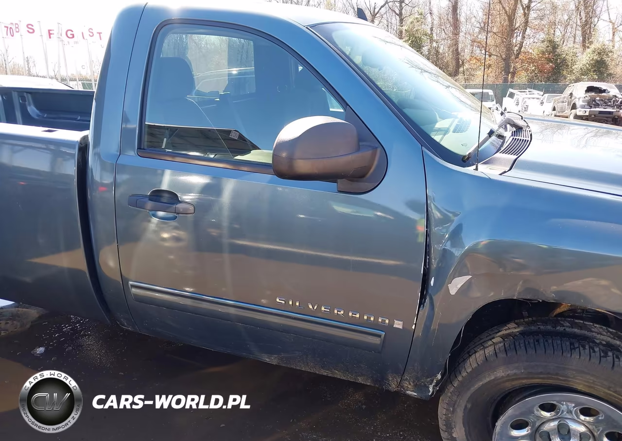 2009 Chevrolet Silverado 1500 Lt VIN:1GCEK24J39Z134119 - 17