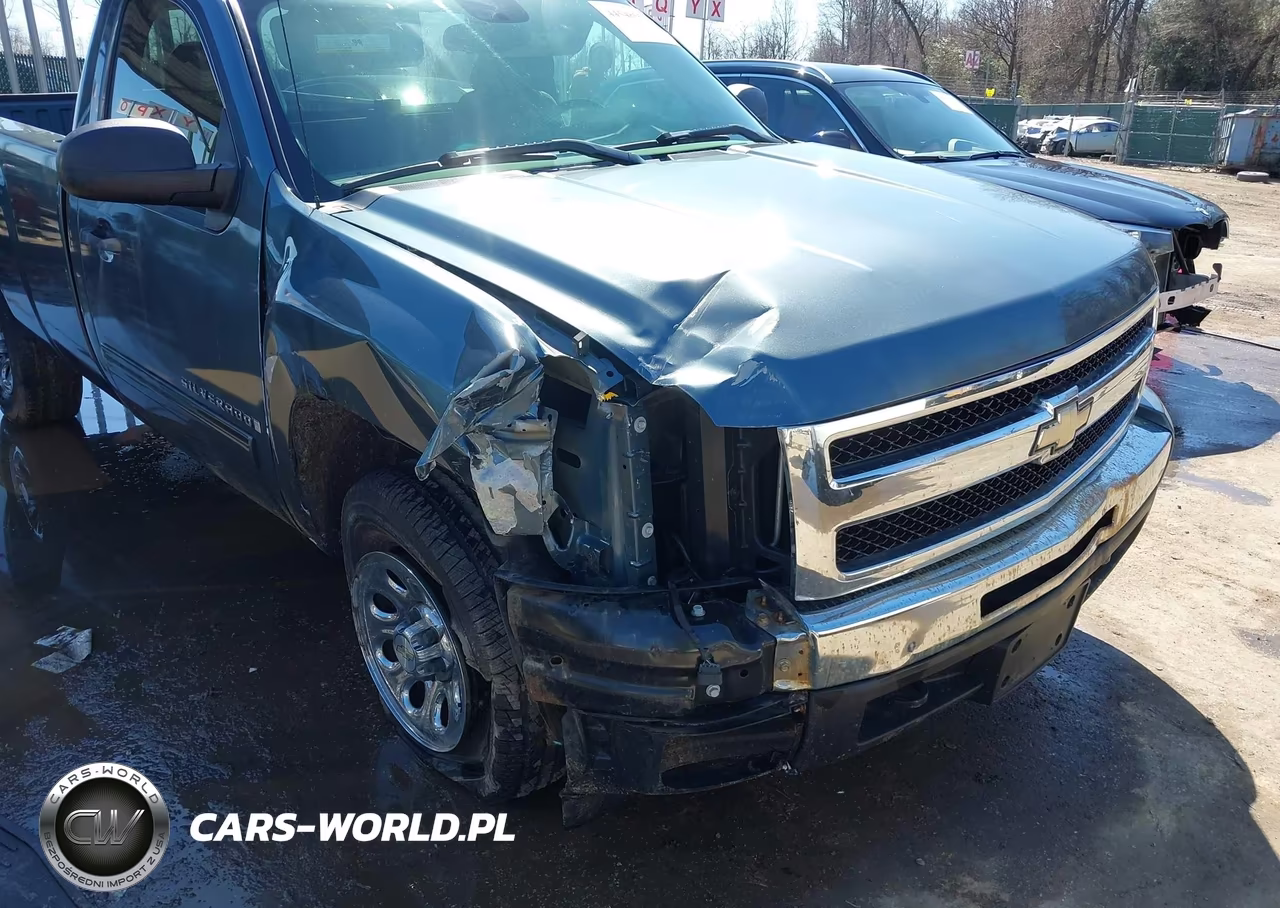 2009 Chevrolet Silverado 1500 Lt VIN:1GCEK24J39Z134119 - 6