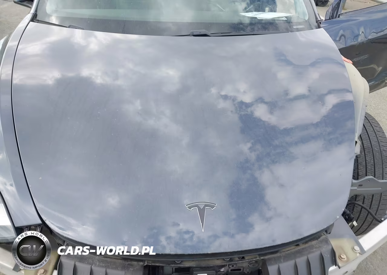 2018 Tesla Model 3 Long Range-Mid Range VIN:5YJ3E1EA2JF013390 - 10