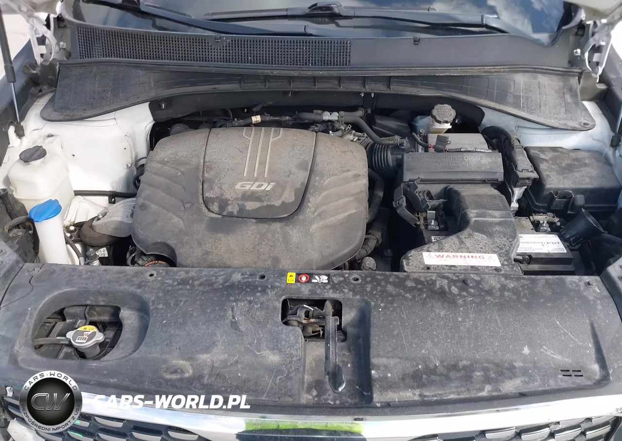 2019 Kia Sorento 3.3L Sxl VIN:5XYPK4A5XKG477588 - 10
