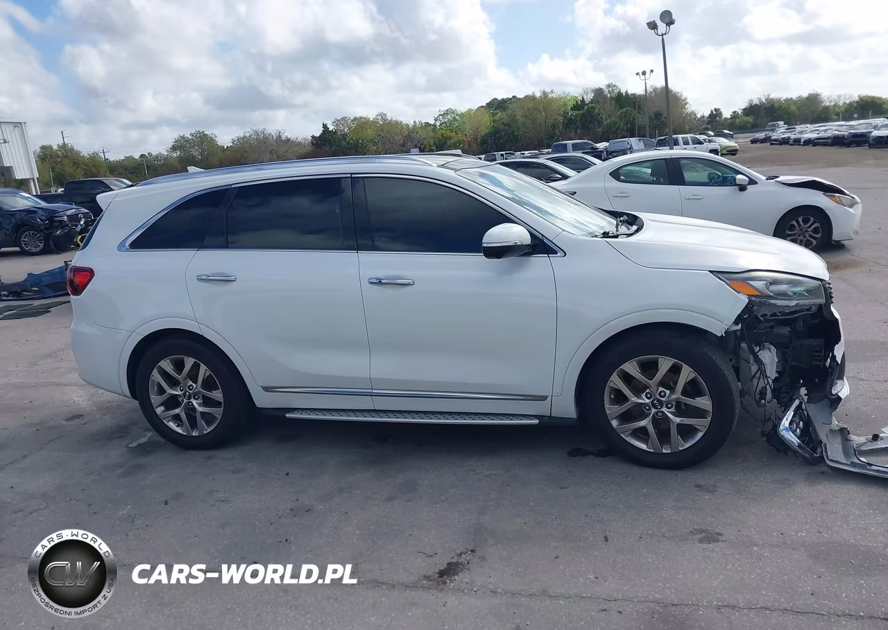 2019 Kia Sorento 3.3L Sxl VIN:5XYPK4A5XKG477588 - 13