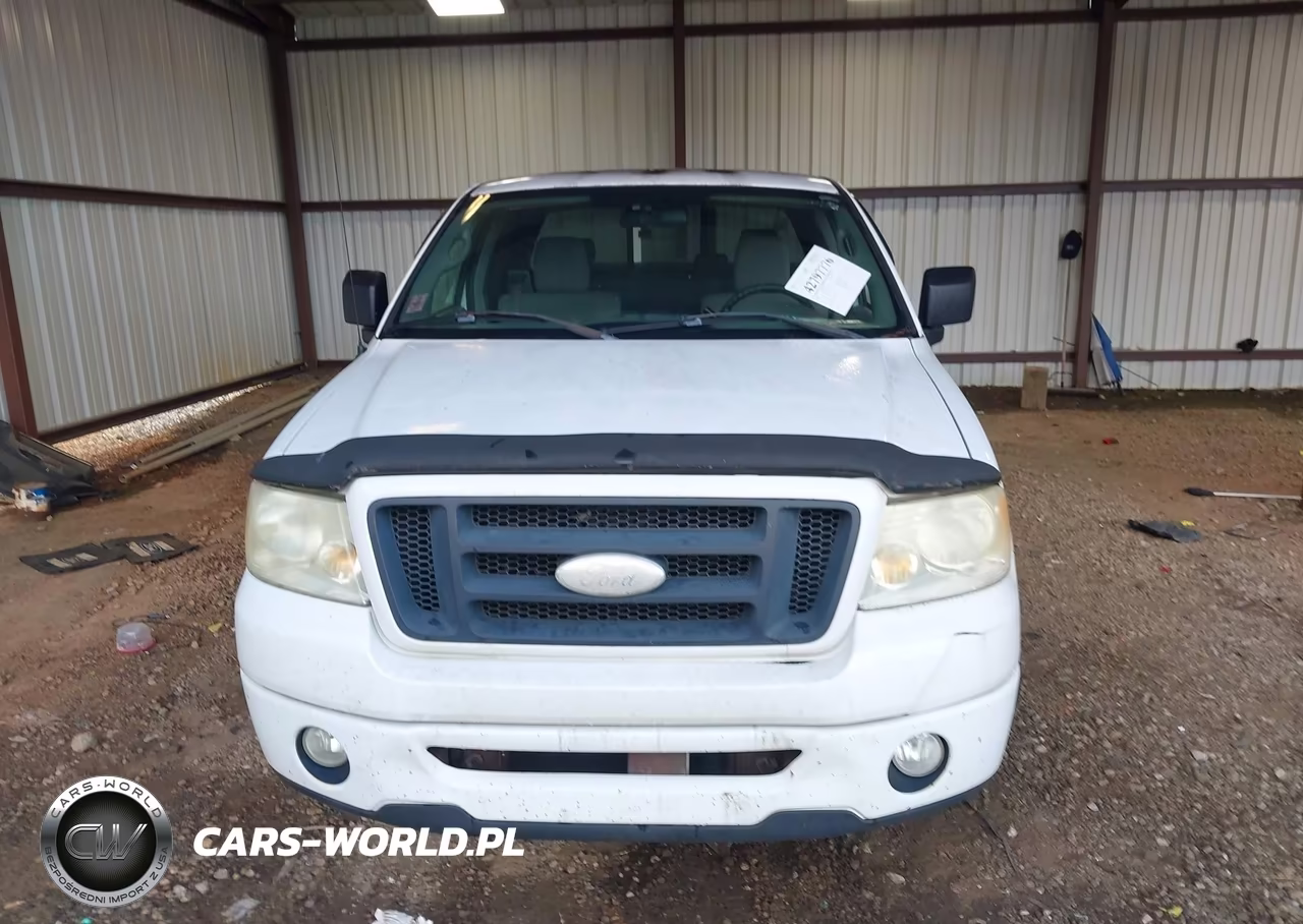 2006 Ford F-150 Stx-Xl-Xlt VIN:1FTRX12W36NB19294 - 12