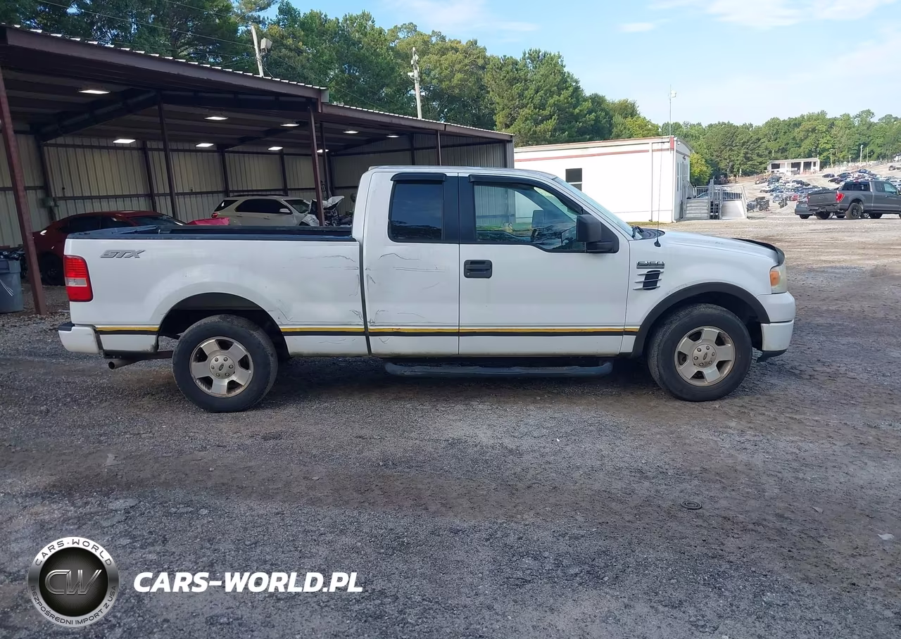 2006 Ford F-150 Stx-Xl-Xlt VIN:1FTRX12W36NB19294 - 13