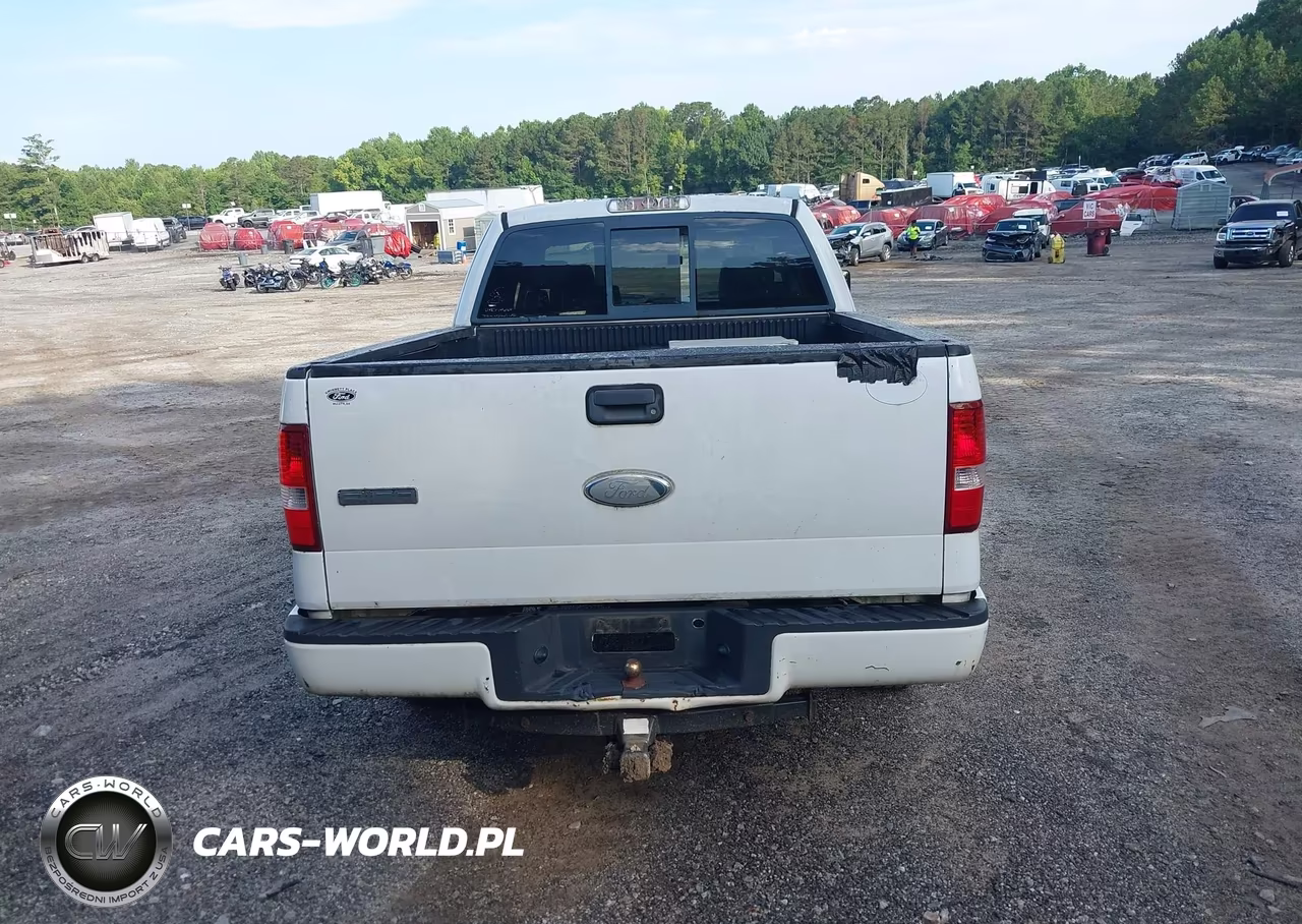 2006 Ford F-150 Stx-Xl-Xlt VIN:1FTRX12W36NB19294 - 16