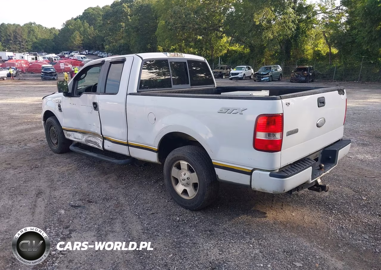 2006 Ford F-150 Stx-Xl-Xlt VIN:1FTRX12W36NB19294 - 3
