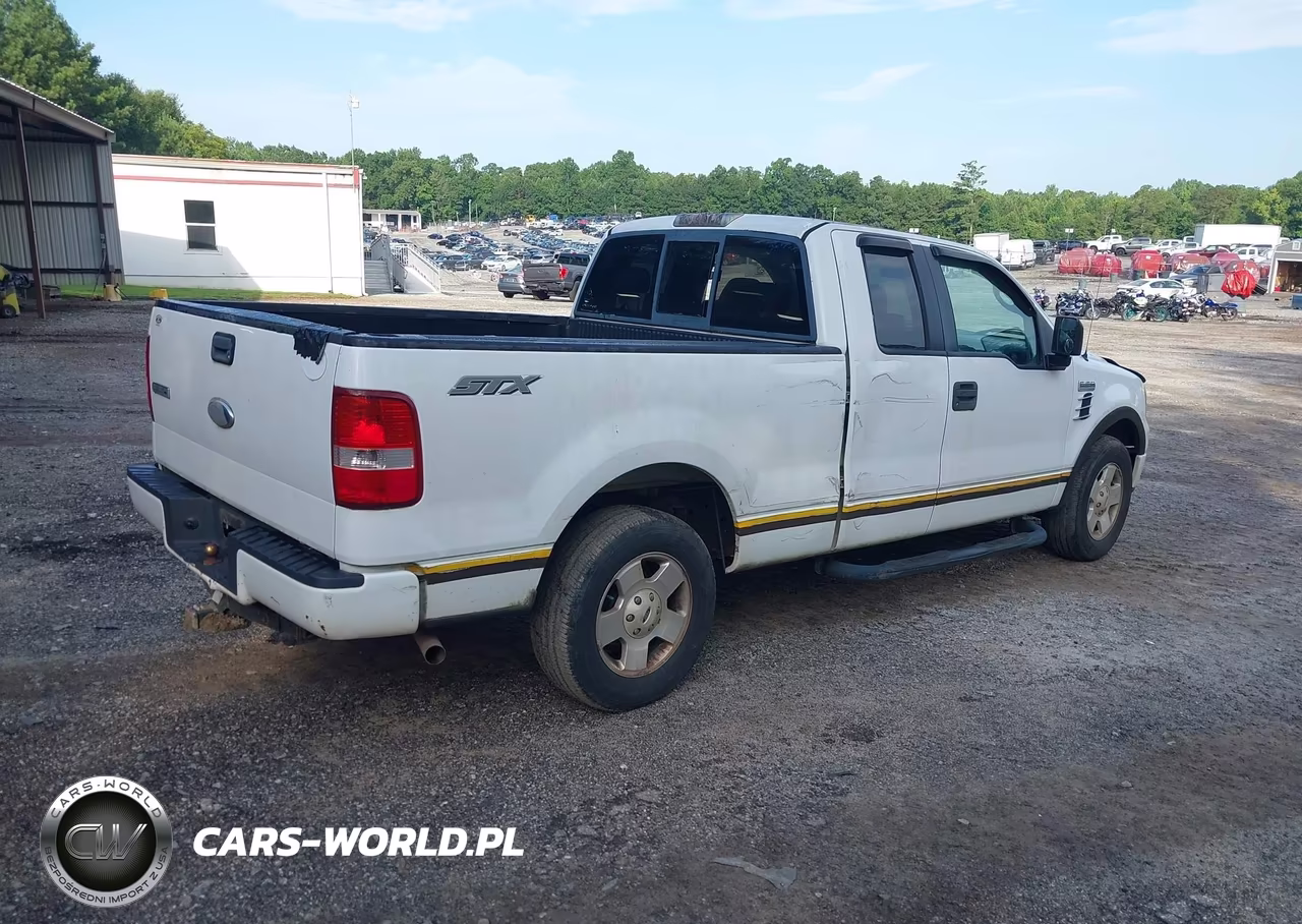 2006 Ford F-150 Stx-Xl-Xlt VIN:1FTRX12W36NB19294 - 4