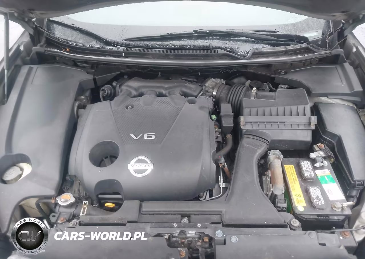 2009 Nissan Maxima 3.5 Sv VIN:1N4AA51E49C807552 - 10