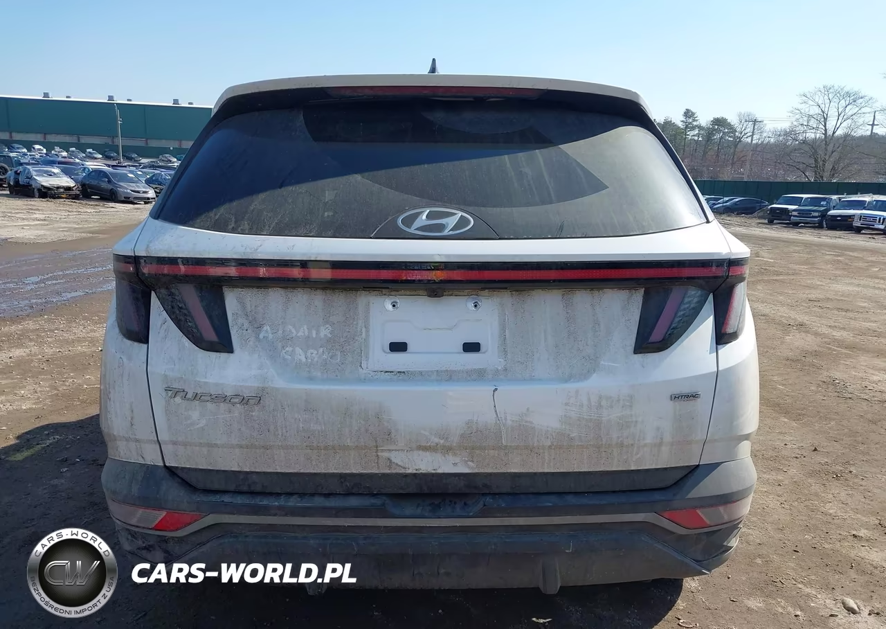2023 Hyundai Tucson Sel VIN:5NMJBCAE9PH186853 - 17