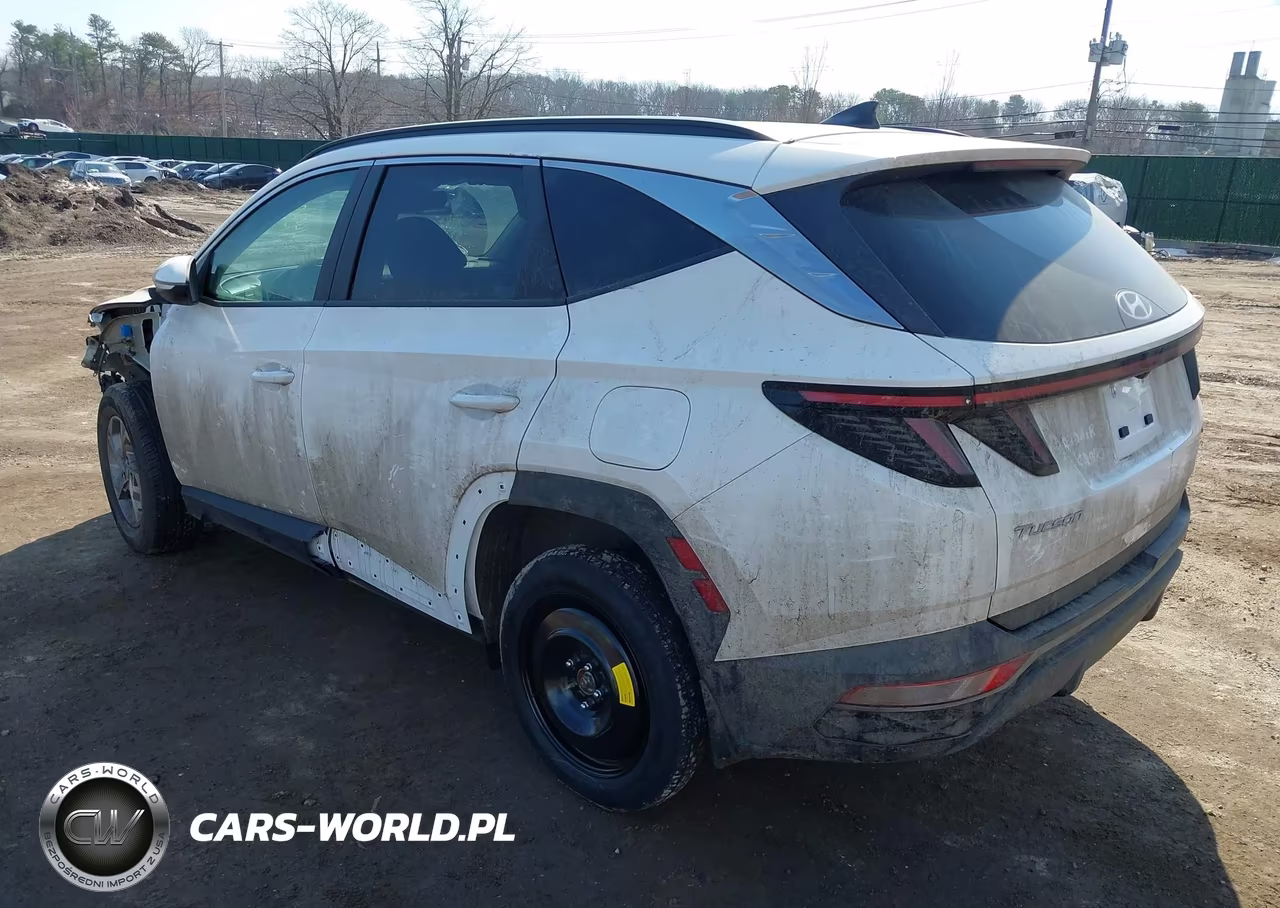 2023 Hyundai Tucson Sel VIN:5NMJBCAE9PH186853 - 3
