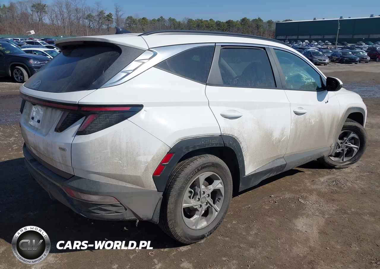 2023 Hyundai Tucson Sel VIN:5NMJBCAE9PH186853 - 4