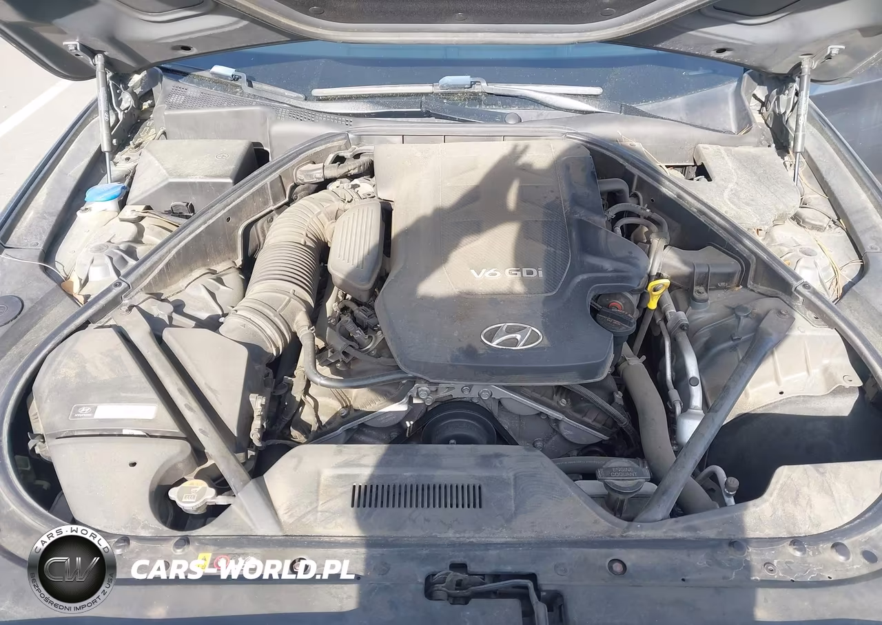 2016 Hyundai Genesis 3.8 VIN:KMHGN4JE3GU106264 - 10
