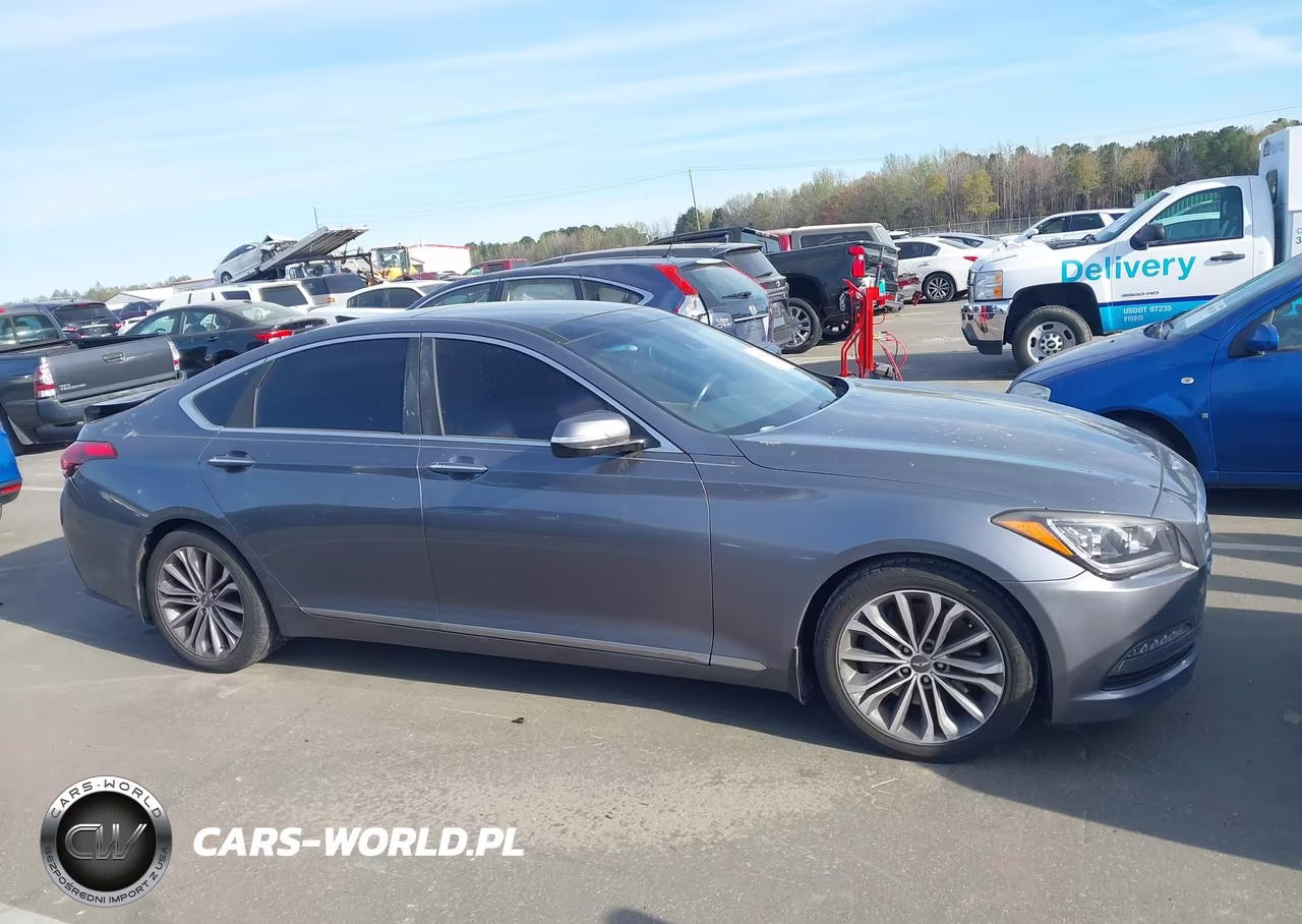 2016 Hyundai Genesis 3.8 VIN:KMHGN4JE3GU106264 - 13