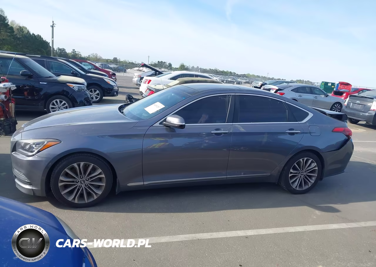 2016 Hyundai Genesis 3.8 VIN:KMHGN4JE3GU106264 - 14