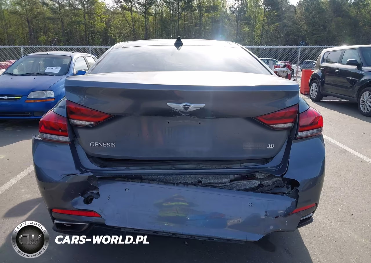 2016 Hyundai Genesis 3.8 VIN:KMHGN4JE3GU106264 - 16