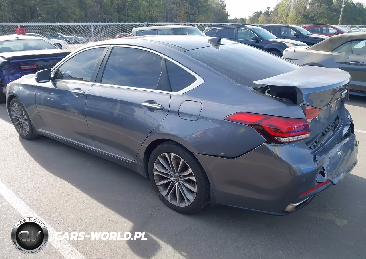 2016 Hyundai Genesis 3.8 VIN:KMHGN4JE3GU106264 - 3