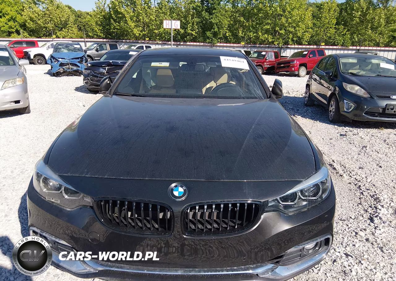2019 BMW 430I Gran Coupe xDrive VIN:WBA4J3C56KBL09158 - 12