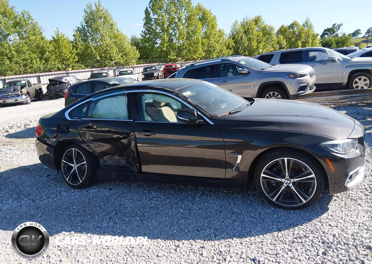 2019 BMW 430I Gran Coupe xDrive VIN:WBA4J3C56KBL09158 - 13