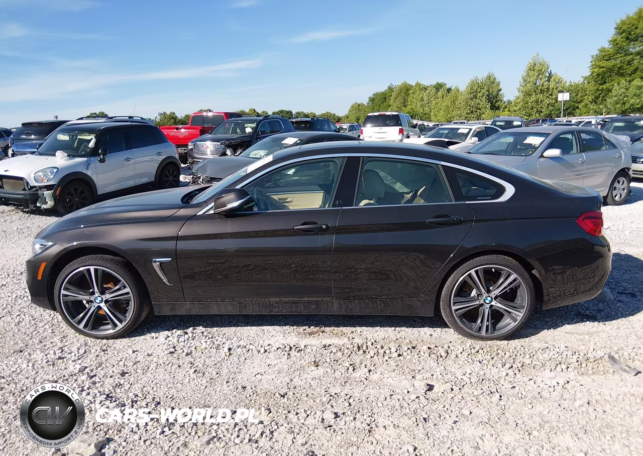 2019 BMW 430I Gran Coupe xDrive VIN:WBA4J3C56KBL09158 - 14
