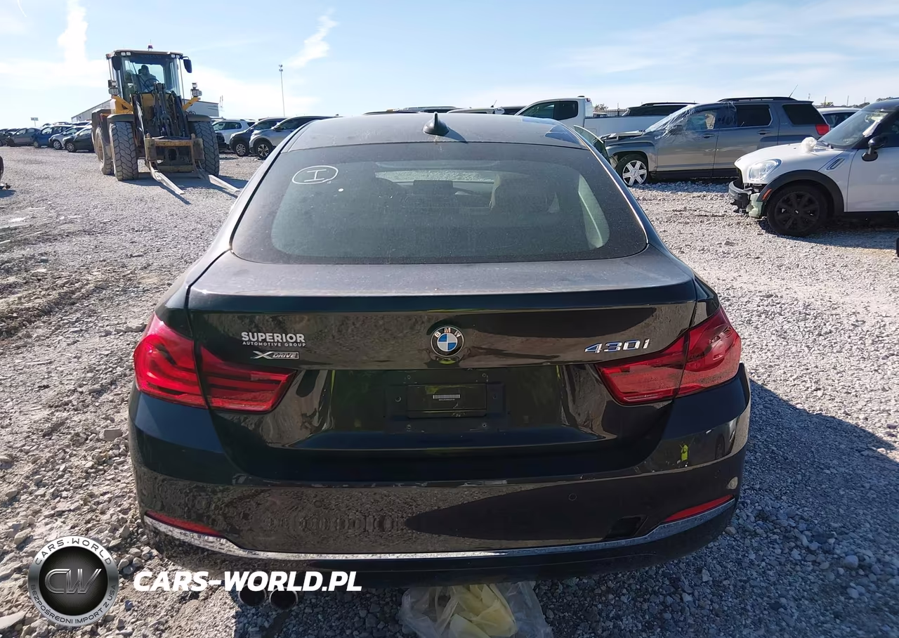 2019 BMW 430I Gran Coupe xDrive VIN:WBA4J3C56KBL09158 - 16