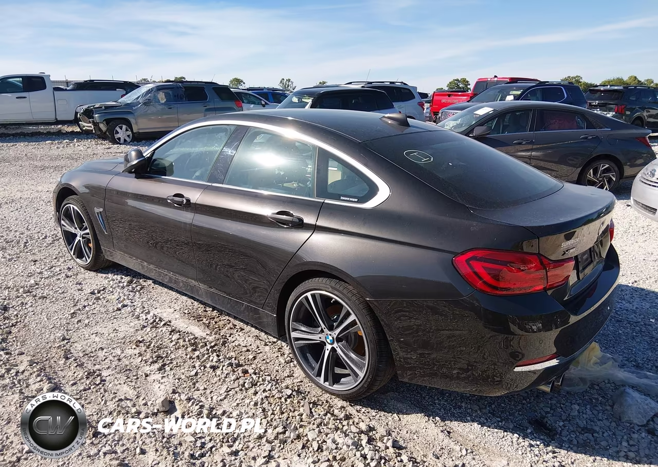 2019 BMW 430I Gran Coupe xDrive VIN:WBA4J3C56KBL09158 - 3