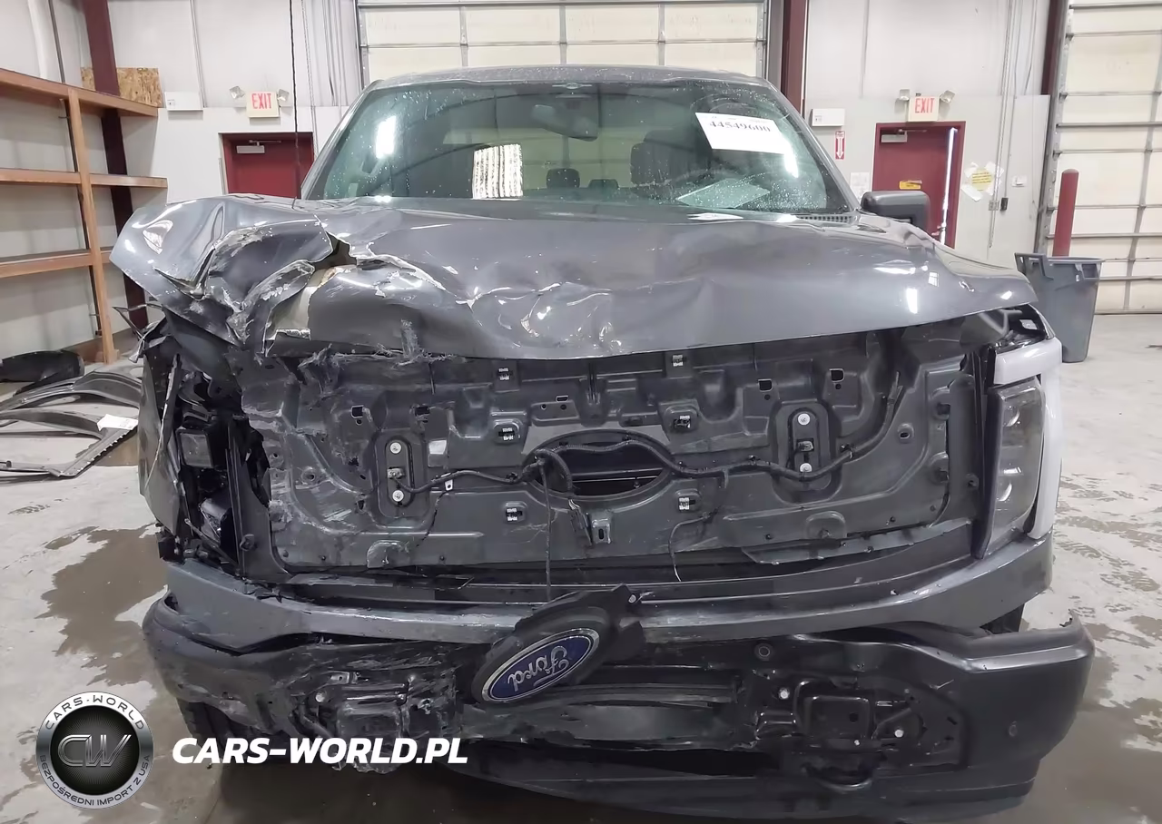 2023 Ford F-150 Lightning Pro VIN:1FTVW1EL0PWG01686 - 12