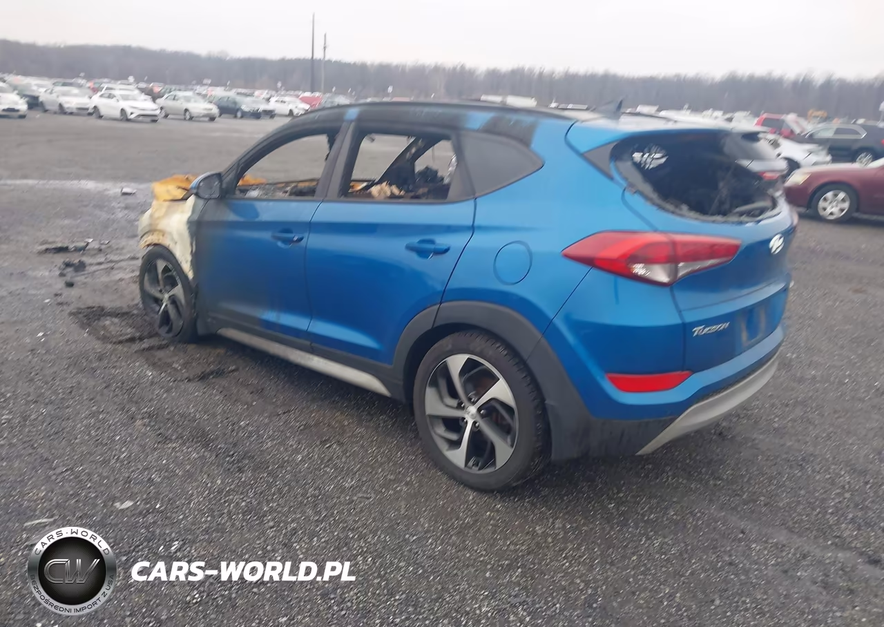 2018 Hyundai Tucson Value VIN:KM8J3CA22JU833866 - 3