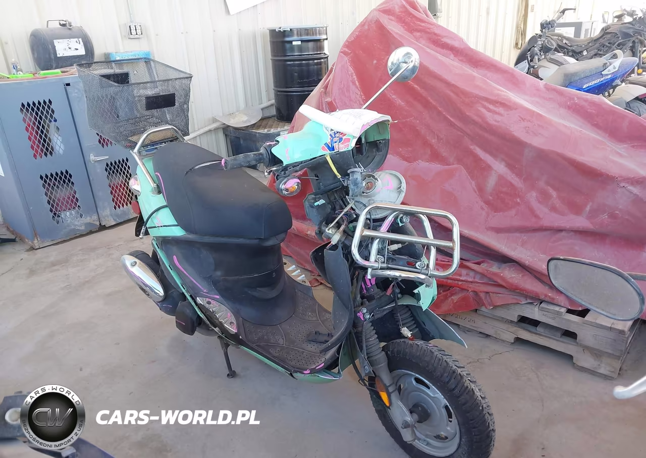 2009 Genuine Scooter Co. Buddy 125