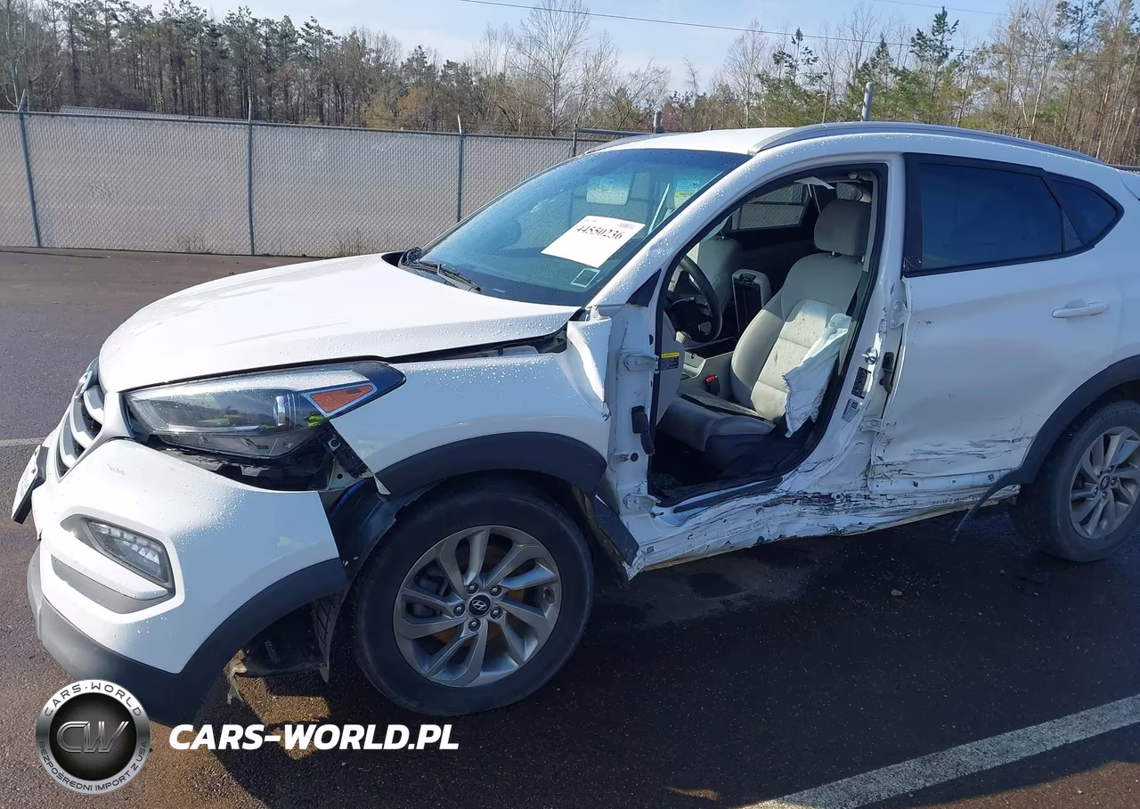 2018 Hyundai Tucson Sel VIN:KM8J3CA43JU712510 - 19