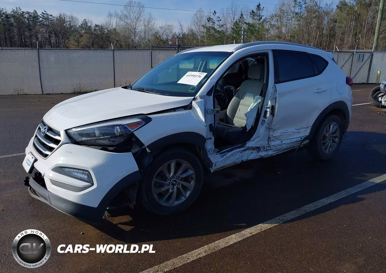 2018 Hyundai Tucson Sel VIN:KM8J3CA43JU712510 - 2